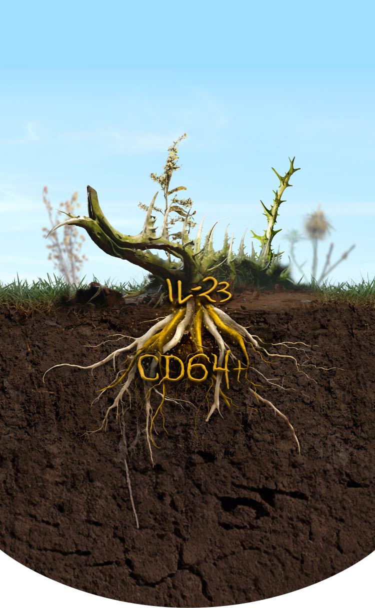 Plant and roots underground labeled IL-23 and CD64 as drivers beneath the surface