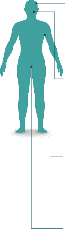Body