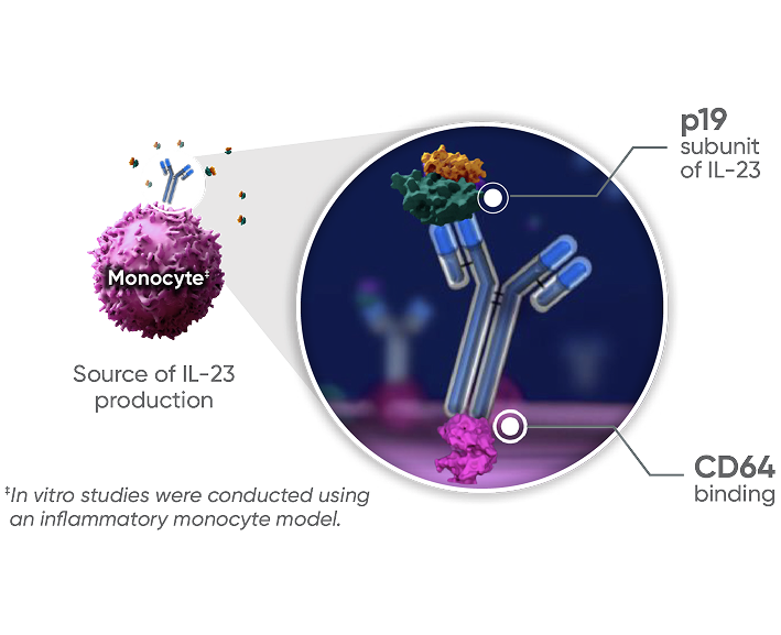 How TREMFYA® (guselkumab) works diagram