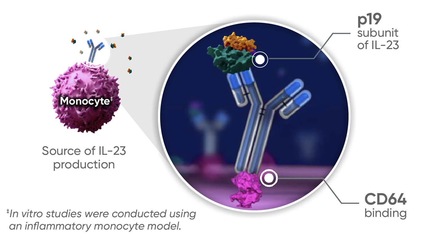 How TREMFYA® (guselkumab) works diagram