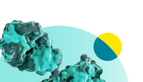 Image of a molecule