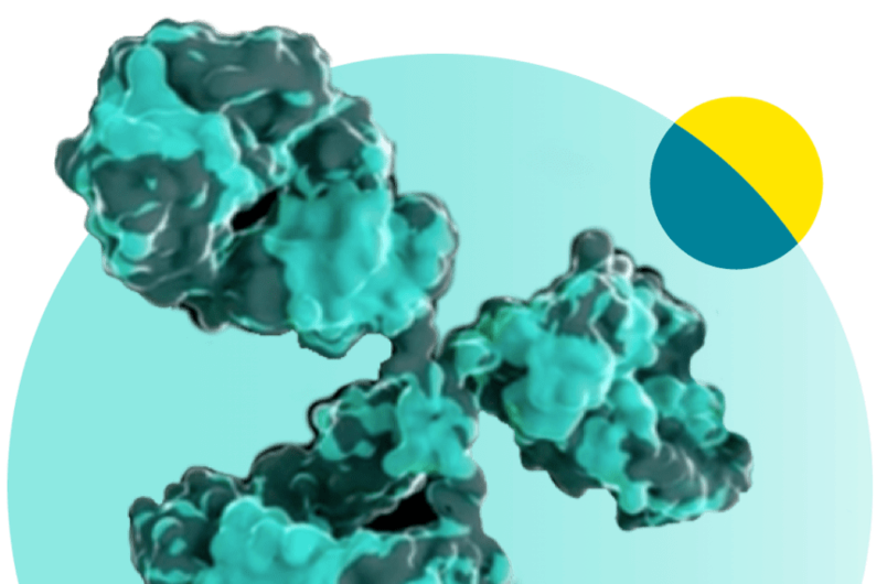 Image of a molecule
